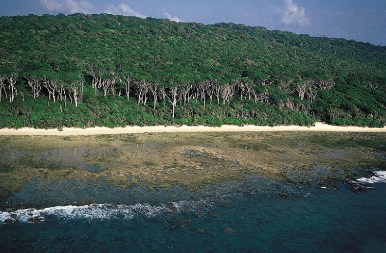 Point Island Wildlife Sanctuary